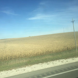 Meet your Posher, Alexa